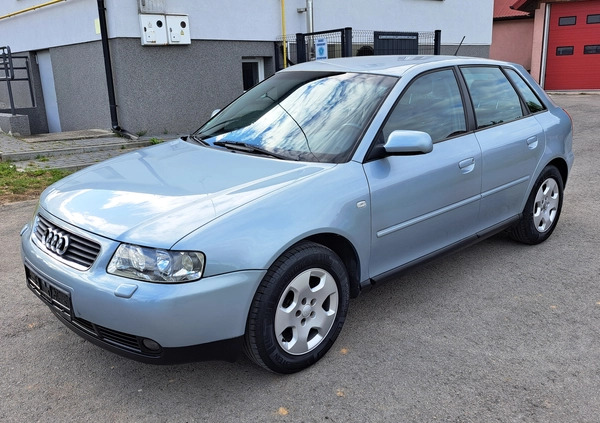 Audi A3 cena 8900 przebieg: 252829, rok produkcji 2001 z Rypin małe 137